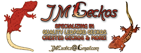J & M Geckos