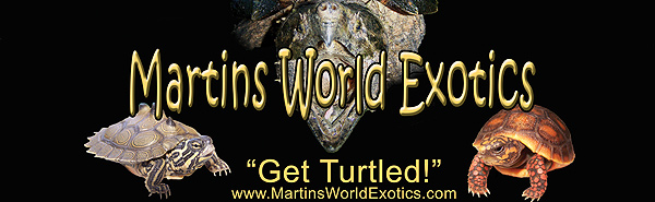 Martins World Exotics
