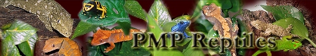PMP Reptiles