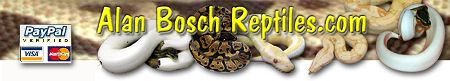 Alan Bosch Reptiles