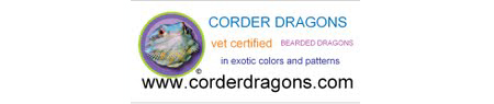 Corder Dragons